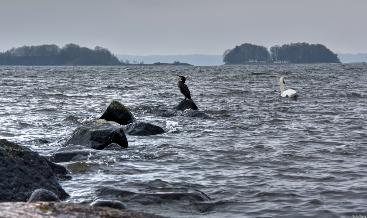 1-DSC_9999_tonemapped – Benthe Sørensen