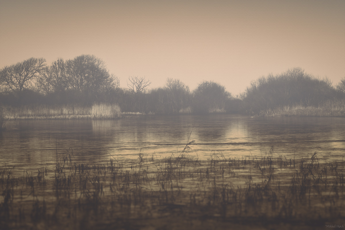 Golden – Mikkel