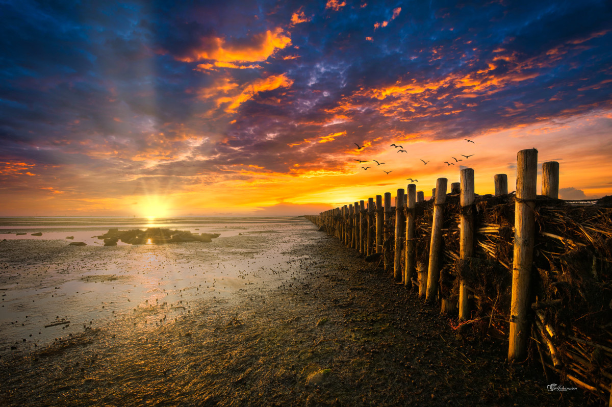 Dragebøll – Egon Johannsen