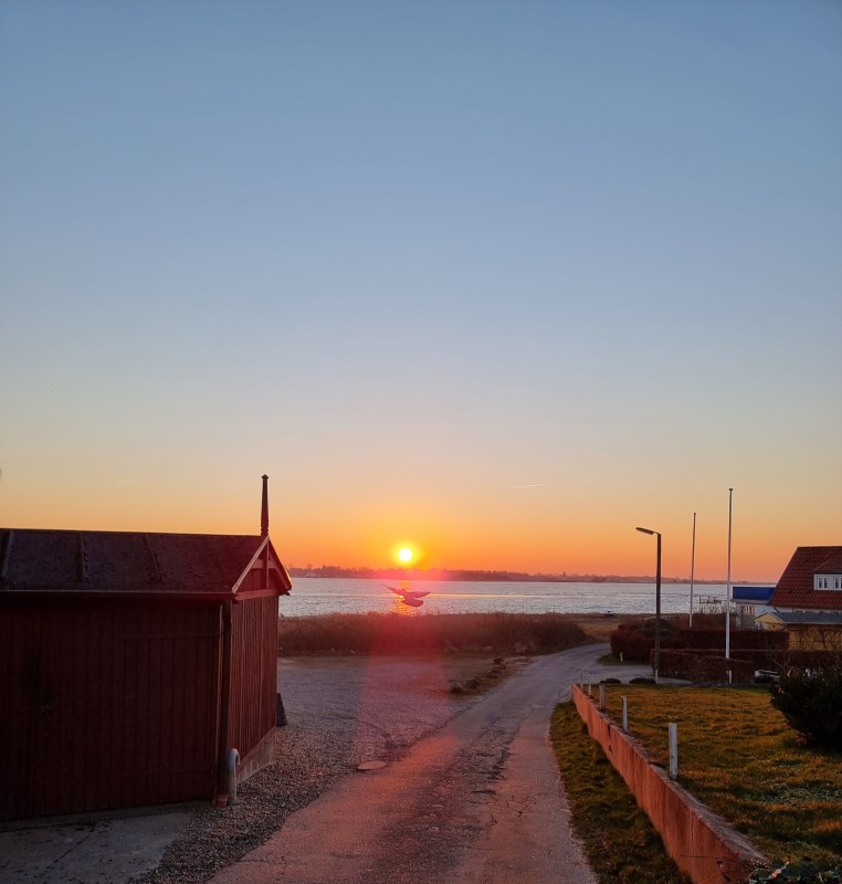 20220314_065257 – Dan Bisgaard Laursen 