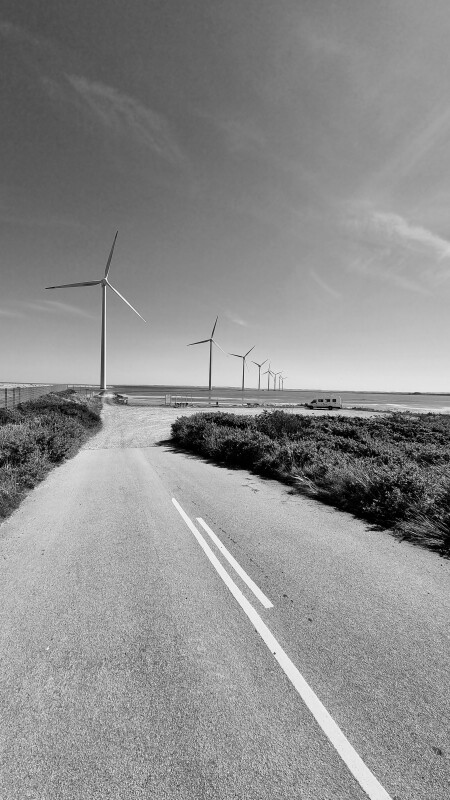20220813_145635 – Dan Bisgaard Laursen 