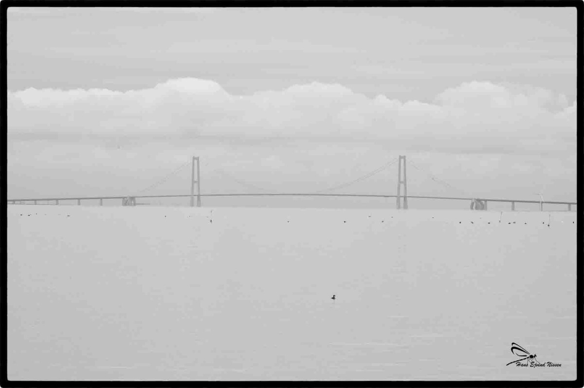 Storebæltsbroen set fra nord – Hans Ejvind Nissen