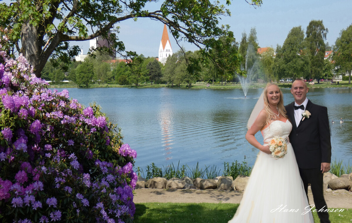 Brudepar i Damparken – Hans Johnsen